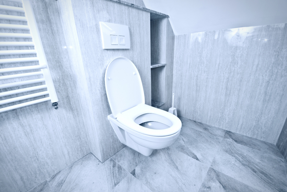 Residential Toilet Repair