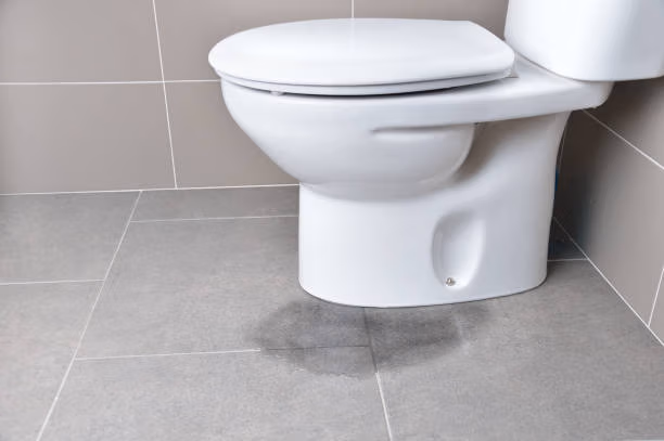 Clogged Toilet