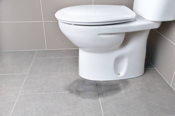Clogged Toilet